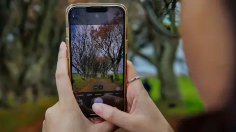 A woman is taking a picture on her smartphone of the Dark Hedges in County Antrim. Her face is obscured but she appears to be wearing glasses and has dark hair. 