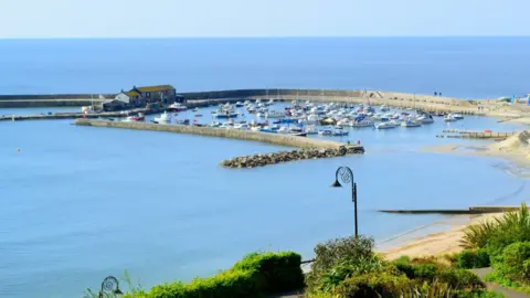 MMO Lyme Regis Harbour. The photo has been taken from a nearby cliff and shows the marina containing dozens of small yachts and boats, with a curved grey brick wall surrounding them and a grey brick house to the left. The ocean water looks bright blue and there is a sandy section of beach seen to the right, as well as some green foliage