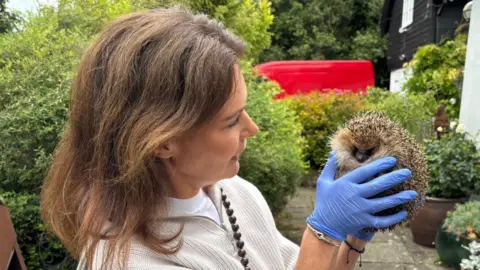 Luke Deal/BBC A woman with shoulder length brown hair holds a hedgehog in her hands. She wears blue gloves as well as a white jumper.