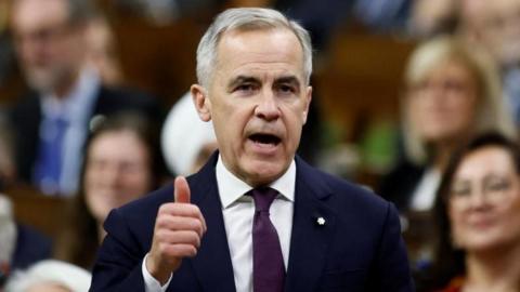 Carney's Budget Approval: A Strategic Narrow Escape