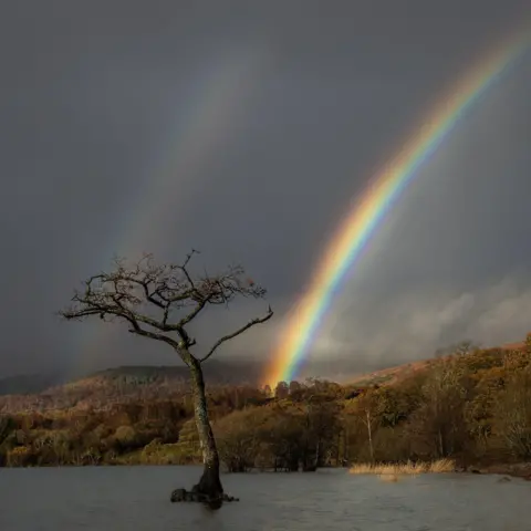 Natalia Kazmierczak Double rainbow over hills and a loch and a tree at Millarochy Bay.