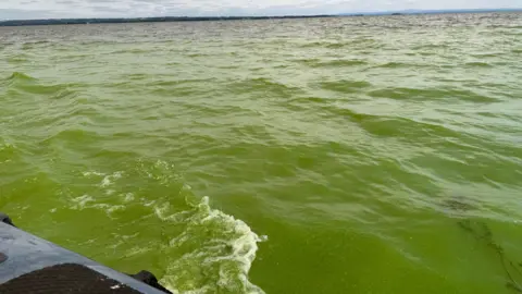 A wide shot taken from a boat of Lough Neagh's water. The water is green from the algae.