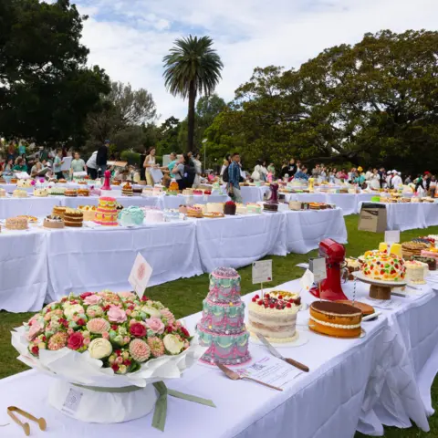 Jessica Hromas/BBC Rows of exquisite, colourful cakes laid out on tables with white tablecloths on grass, surrounded by trees