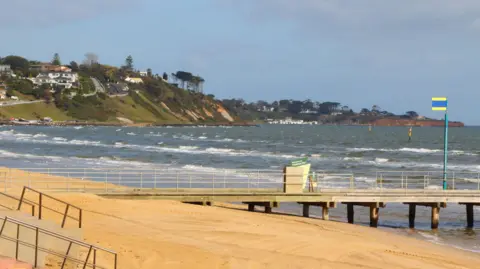 Getty Images A sandy beach with a pier and waves in the background.
