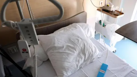 PA Media Hospital bed