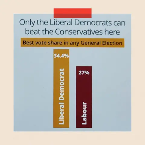 Bar chart on a Liberal Democrat leaflet in Central Devon reads: "Only the Liberal Democrats can beat the Conservatives here / Best vote share in any General Election." A bar chart shows the Lib Dems on 34.4% and Labour on 27%