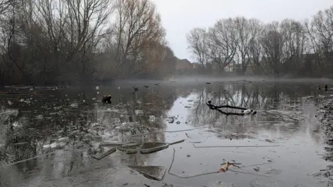 BBC Weather Watchers/TheAdder A pond with frozen shards of ice floating on it. The sky is grey and there is haze on the horizon, where homes can be seen in the distance. The pond is surrounded by trees.