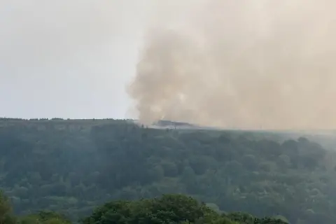 Smoke billowing from fire on top of mountain seen from a distance over woodland