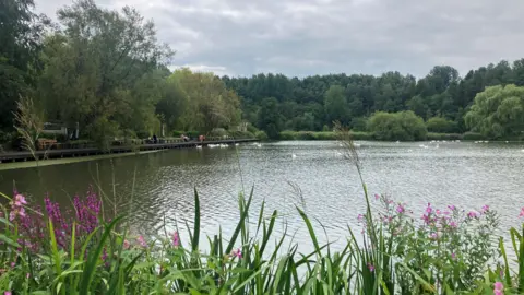Photograph of one of the Crompton Lodges in the Moses Gate Country Park. The image shows reeds in the foreground and swans in the background.