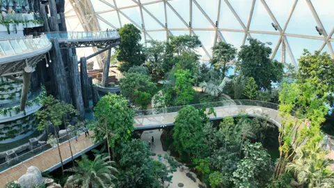 Oriental Eden Inside the rainforest biome. The tropical plants are mature and there are glass walkways throughout.