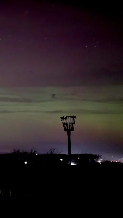 Northern lights with purple and green hues light up a horizon.