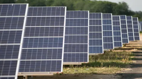 A row of solar panels divided into black rectangles with white borders, standing upright in a grass field. There are trees in the background and a path to the right.