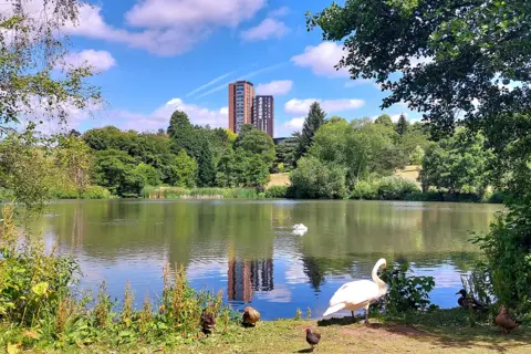 Lynn / BBC Weather Watchers A lake in Edgbaston, looking towards the city centre with a tower block in the distance. Swans and ducks are in the foreground on the bank of the lake, with one white swan in the centre of the pool