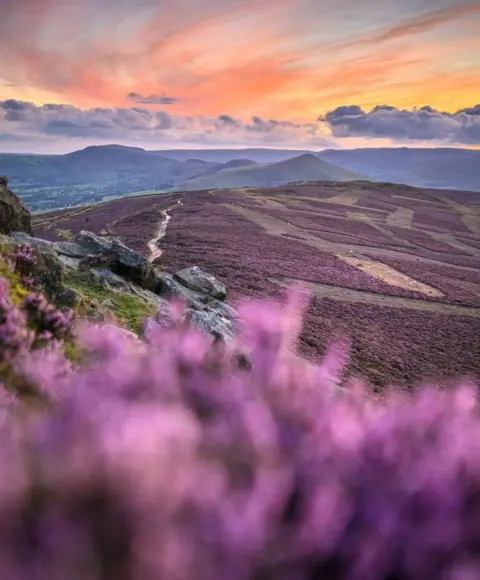 @peopleofthepeak Une photographie de collines couvertes de bruyère violette dans le Peak District, Derbyshire