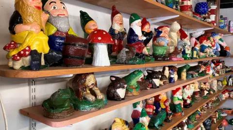 Alex Dunlop/BBC Shelves of different garden gnomes and figures which have been restored and painted by Alistair Dent at his gnome hospital.