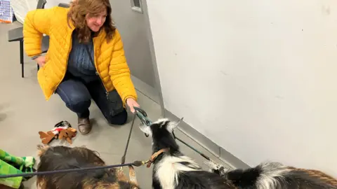 The photo shows a woman in a yellow puffer jacket and dark blue jeans, crouching down and holding two goats on leads.