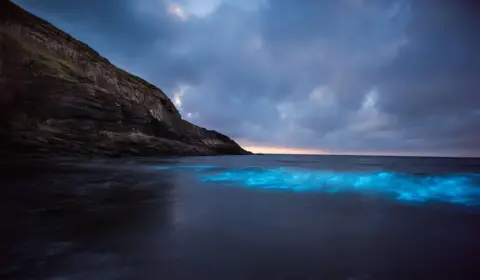 Lee McGrath Bioluminescent plankton at Dunraven Bay