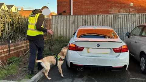 Ellie the dog sniffing a car in a car park while accompanied by an officer holding her lead