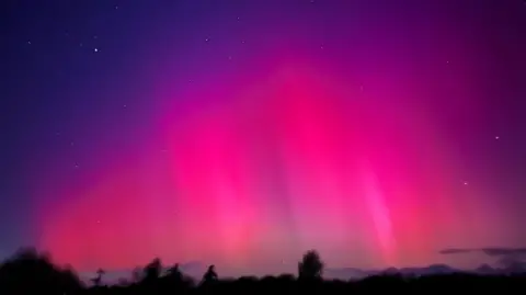 An evening sky with purple and pink hues and stars twinkling. A faint skyline of woodland can be seen at the bottom of the picture