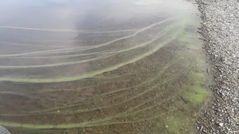 Eryri National Park Lines of blue-green algae in the lake close to the shore