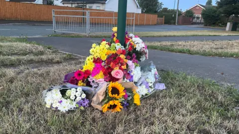 Brightly-coloured flowers are placed around the base of a green lamppost. They are on a patch of dry grass and in the background is a metal barrier and a road and behind that a brown wooden fence and houses