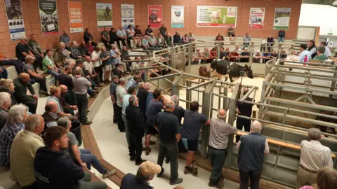 Many men stood in a market hall with a cow in the middle. All are looking at the cow that is being sold.