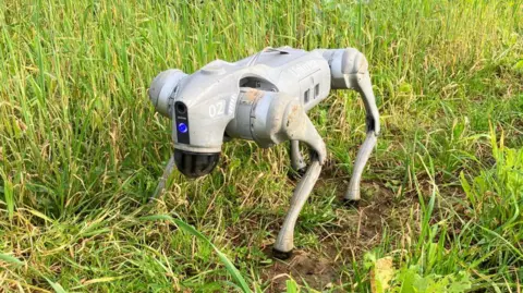 A four-legged robot dog in a field