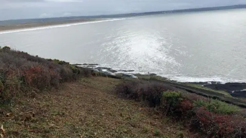 Devon County Council A hill, with grass thats been cut, there are green and brown bushes. There is the sea, it looks grey in the lighting and the sun is reflecting off it. The sky is grey and full of clouds.