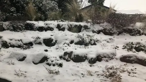 BBC Weather Watchers / Mrs M Stone steps are barely visible under the snow, except for a few weeds poking through. At the top, the the roof of a stone house can be made out beyond some taller shrubbery.