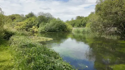White clouds hang in a blue sky above a section of the River Test with green weeds in the clear water