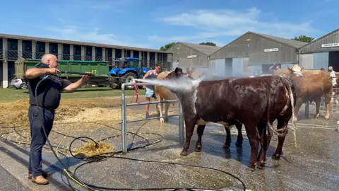 Edd Smith/BBC A line of cows being washed down by a man holding a water jet in front of cattle sheds. There is blue sky and white clouds above.
