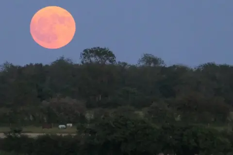 sky girl Strawberry Moon seen from Breedon on the Hill, Leicestershire