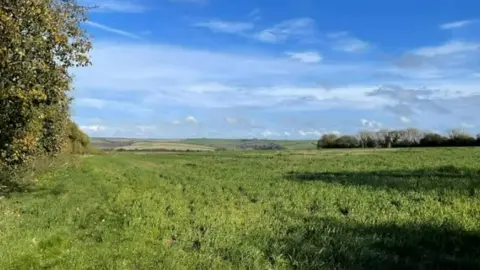 Dorset Council  The fields at Cruxton, the proposed site of the solar farm