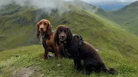 Hollie Jenkins/@TheEdinburghSpaniels Hugo and Spencer