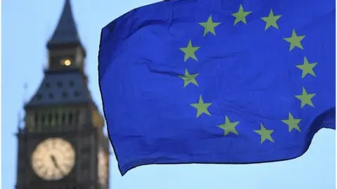 AFP EU flag flying near Houses of Parliament