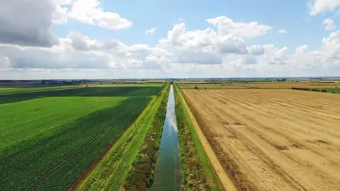 Getty Images A photograph showing a treeless landscape in South Holland, Lincolnshire