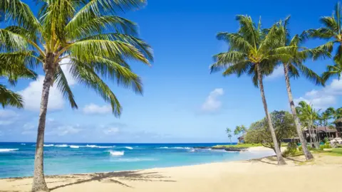 Getty Images Hawaii beach