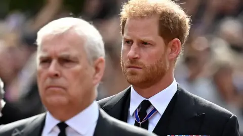 Pool Prince Andrew and Prince Harry