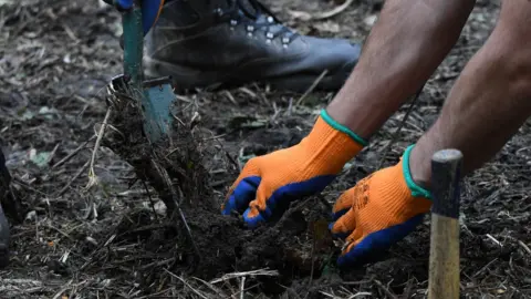 Billy Heaney Tree planting