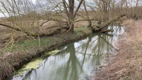 Tim Addicott/BBC River Waveney at Scole