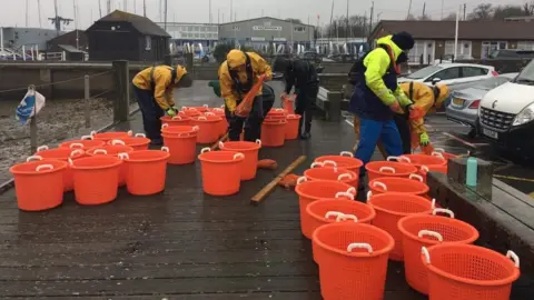 Blue Marine Foundation Oysters being prepared in tubs for release