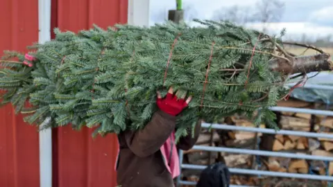 Getty Images Christmas tree