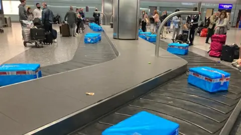 Becca Braunholtz Frozen fish