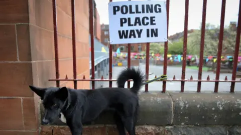 Getty Images Dog at polling station