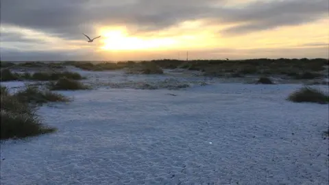 Guy Campbell Snow on the beach at Southwold