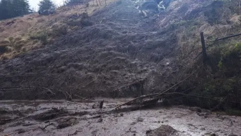 Neath Port Talbot Council Mud and trees fallen down a hill