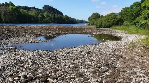 Ness Fishery Board River Ness