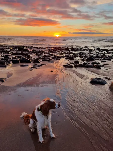 Tony Flynn Arbroath