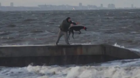 RSPCA Greyhound being thrown into sea