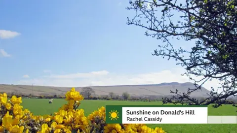 Rachel Cassidy Sunshine on Donald's Hill